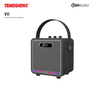Temeisheng V11